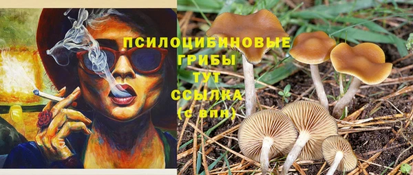 шишки Нея