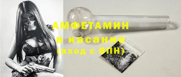 шишки Нея