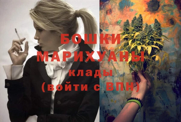 шишки Нея