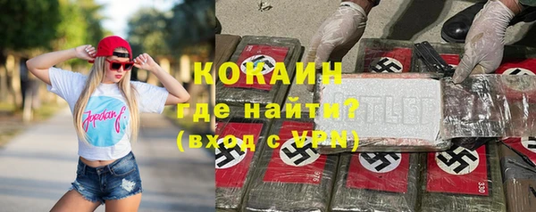 шишки Нея