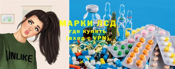 шишки Нея