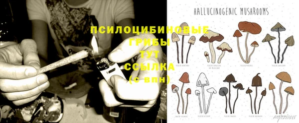 шишки Нея