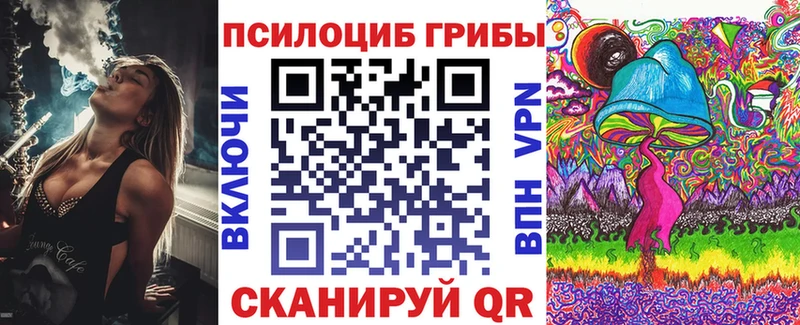 Купить закладки  Александровское  Псилоцибиновые грибы прущие грибы 