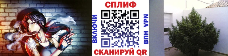 Марихуана конопля  Купить где  Александровское 