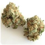 Шишки "White Widow"  (Белая вдова)  Гидропоника -  Бошка VHQ в Александровском